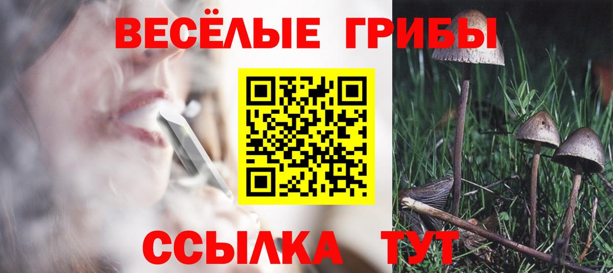 Галлюциногенные грибы Cubensis Чебаркуль